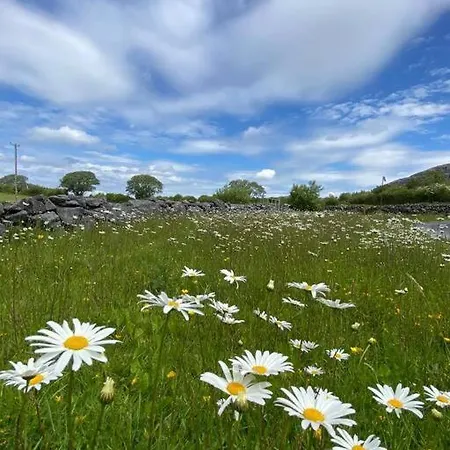 Burren Mountain Views Luxury Ballyvaughan
